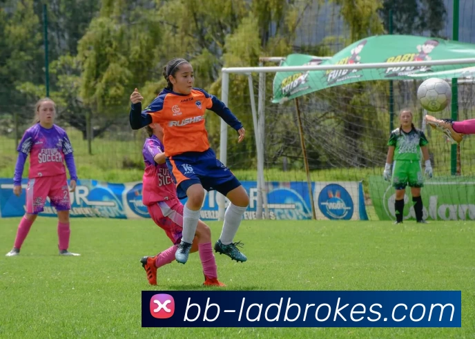 App Interface Preview